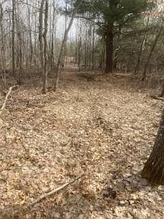 3rd image of 249XX N Gile Rd