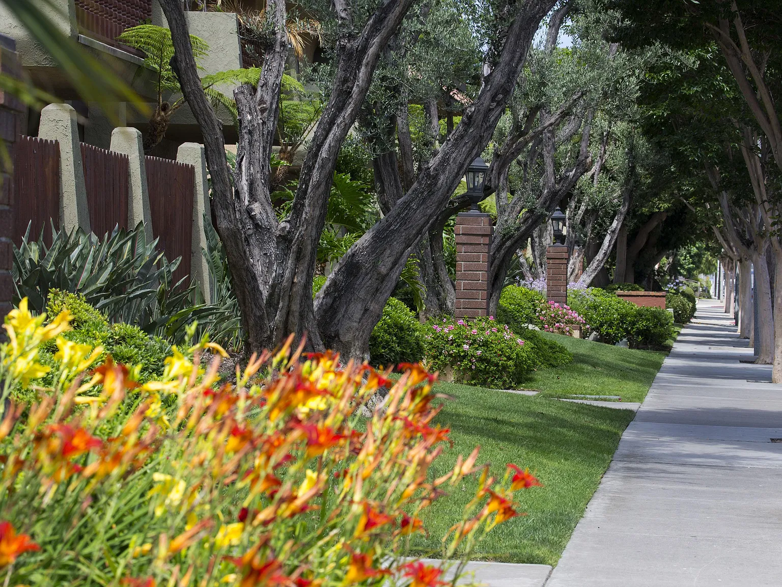Los Arbolitos Huntington Beach Apartments — Photo 1