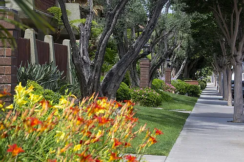 Los Arbolitos Huntington Beach Apartments Photo 1