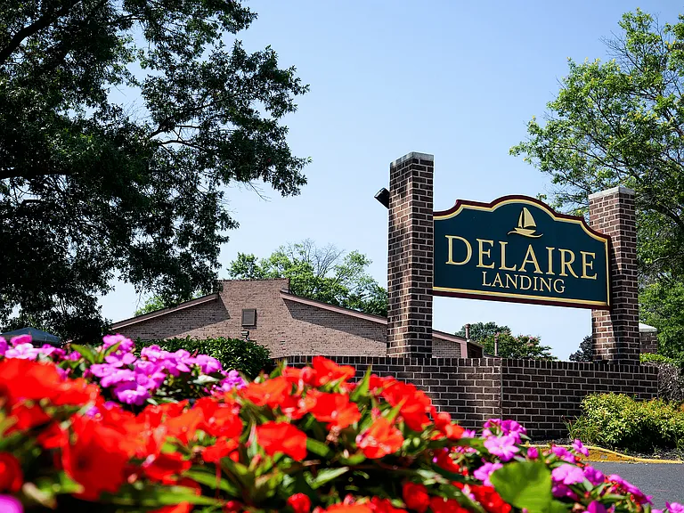 Delaire Landing — Photo 19