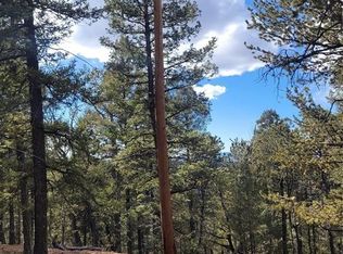 329 Paradiso Rd, Divide, CO 80814