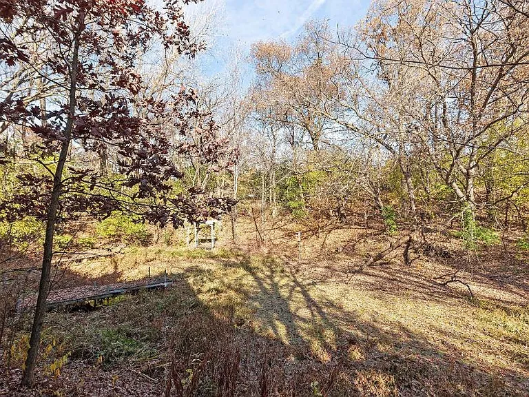 Back pond area
