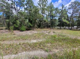 0 NE 3RD PL LOT 5, WILLISTON, FL 32696
