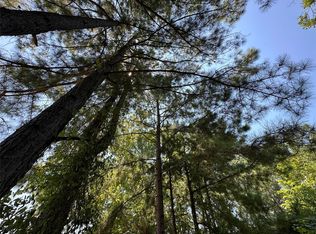 Highway 17, Grand Saline, TX 75140