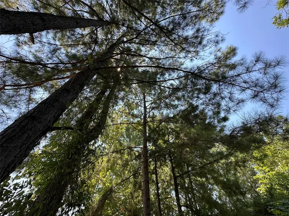 Highway 17, Grand Saline, TX 75140