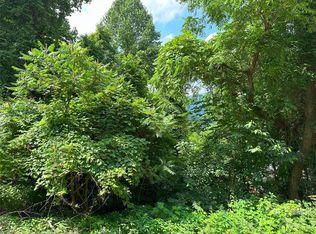 LOT 303 Slippery Rock Rd, Waynesville, NC 28785