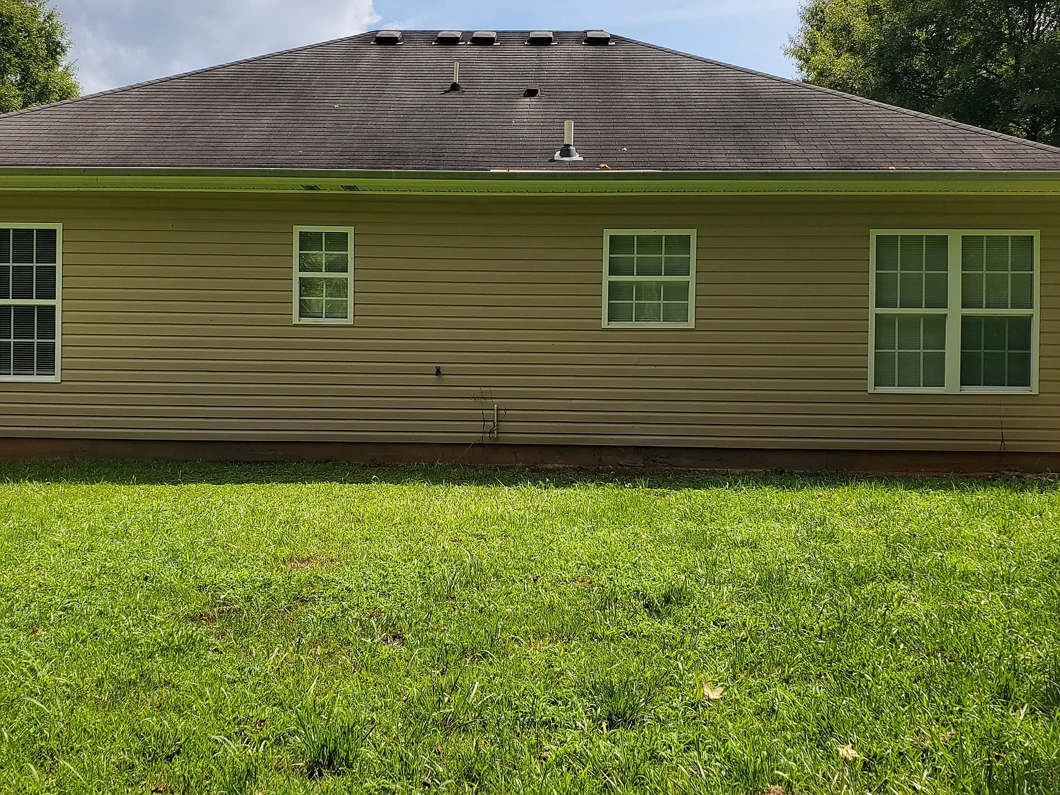 3 bed, 1245 sqft, $2,000 — Photo 2