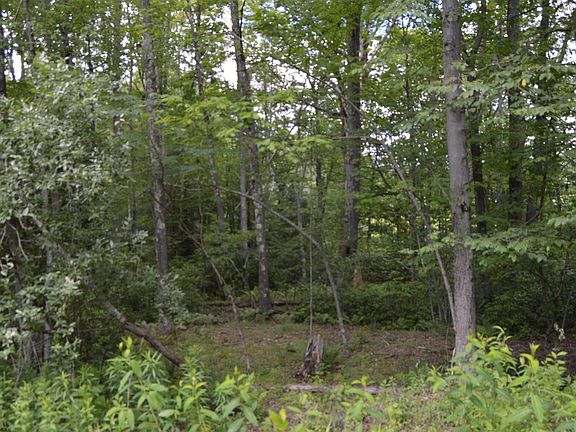3rd image of 192 Azalea Ln