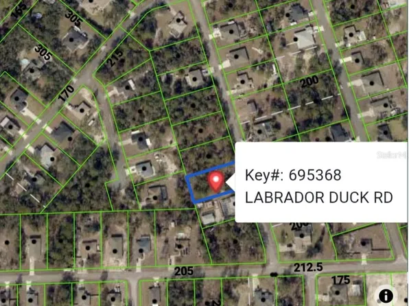11335 Labrador Duck Rd Lot 29, Brooksville, FL 34614