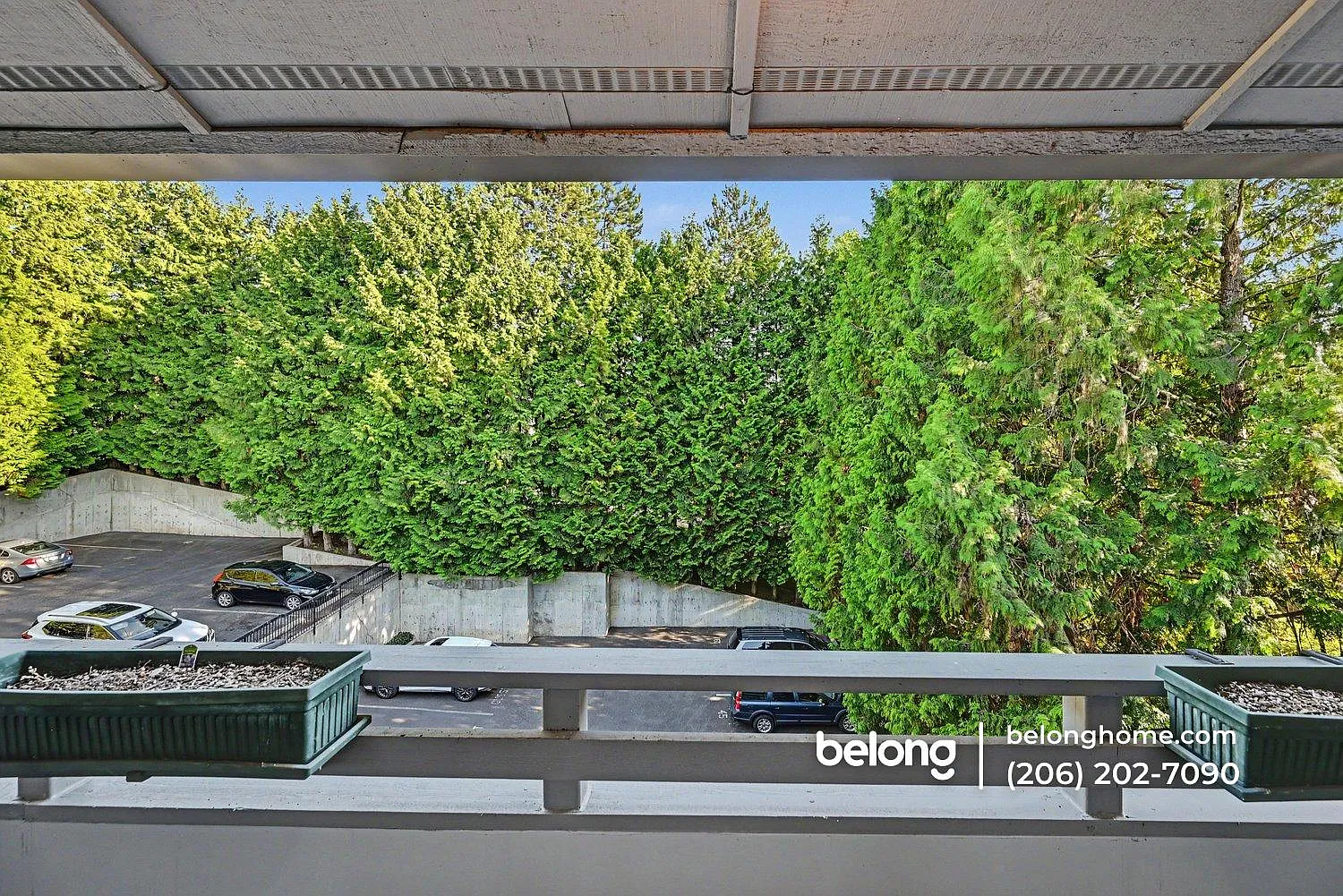 2 bed, 2.0 bath, 1000 sqft, $2,595 — Photo 2