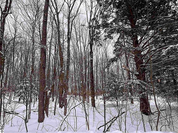 4th image of Staceywood Cir