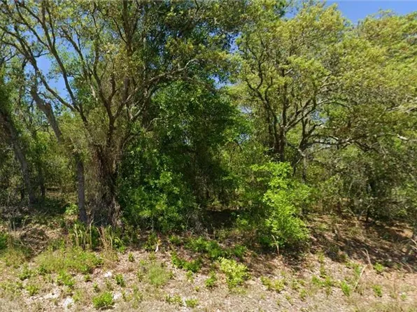 SW PAPAYA LANE LOT 8, DUNNELLON, FL 34431