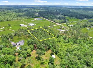 0 Yellow Bluff Rd, Blackshear, GA 31516