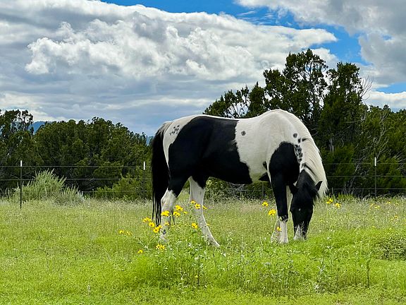 4th image of 12 Elk Rd