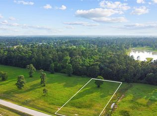2040 Stallion Lakes Ave, Hockley, TX 77447