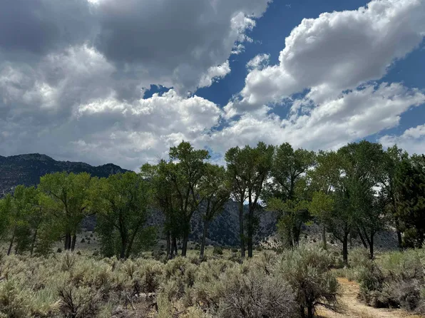 115163 Us Highway 395, Topaz, CA 96133