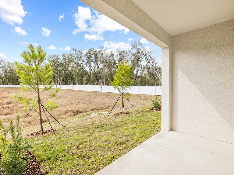 36148 Risa Michele St — Photo 34