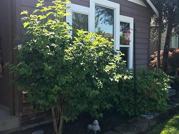 2nd image of 2220 Kingswood Dr