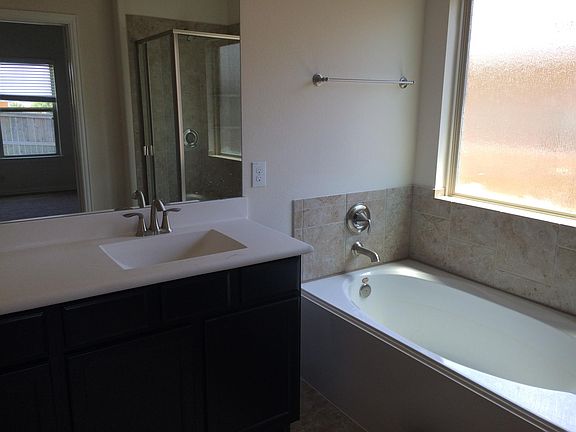 Master bedroom en-suite garden tub, walk-in closet, shower, dual sinks