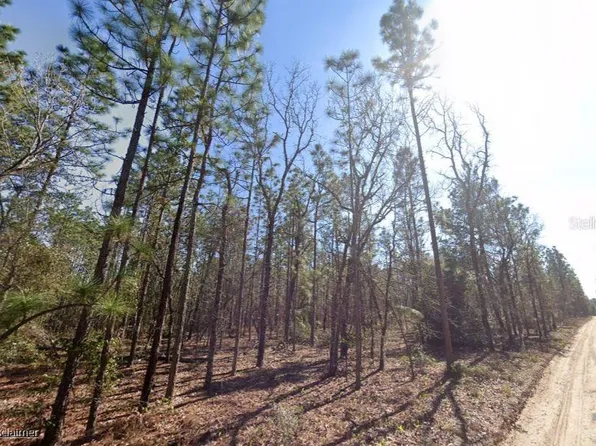 Hills Rd, Melrose, FL 32666