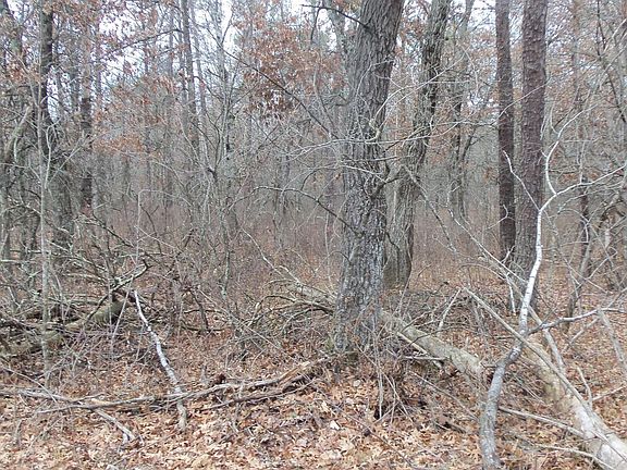 4th image of 5 Cnute Creek Trl
