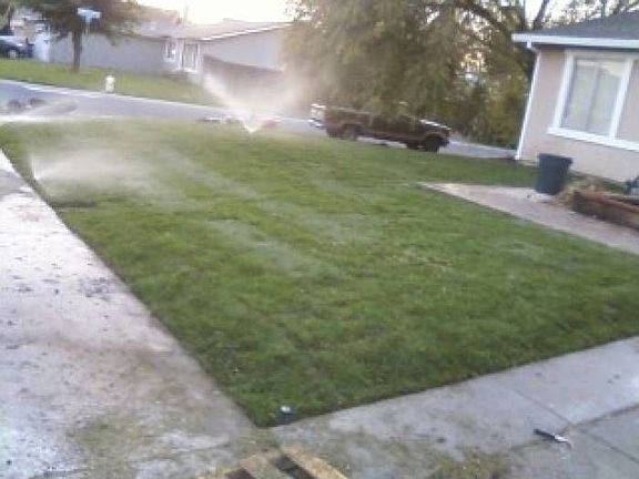 Irrigated front lawn