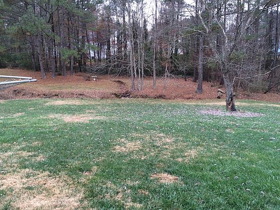 Flat spacious backyard