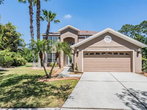 19139 Cypress Reach Ln, Tampa, FL 33647