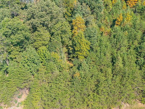 5th image of 742 White Dogwood Rd Lot 13