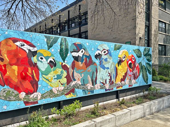 914 North Blvd APT 2J