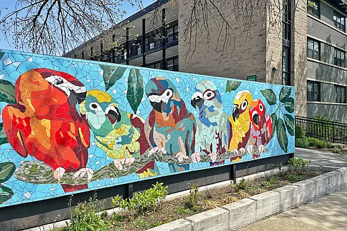 914 North Blvd. Oak Park, IL 60302 Photo 1