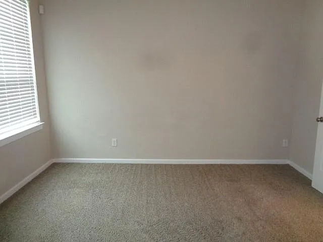 27029 Sofia Forest Dr — Photo 13
