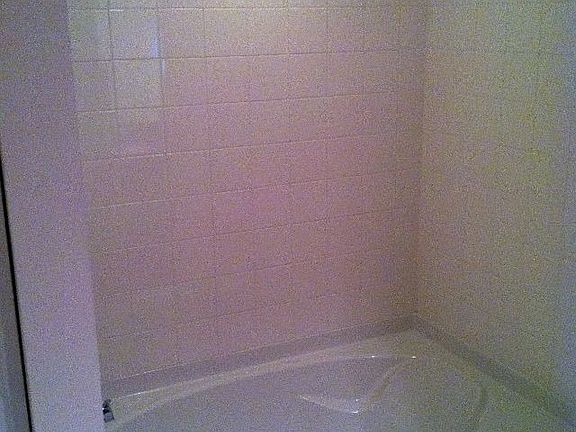 Guest bath shower + tub