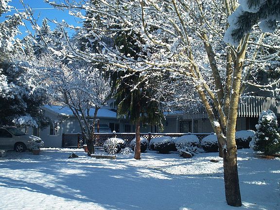 Front, looking East
