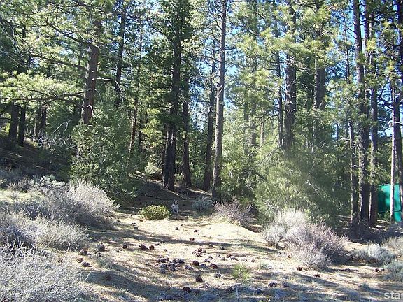 4th image of 12 Silver Peak