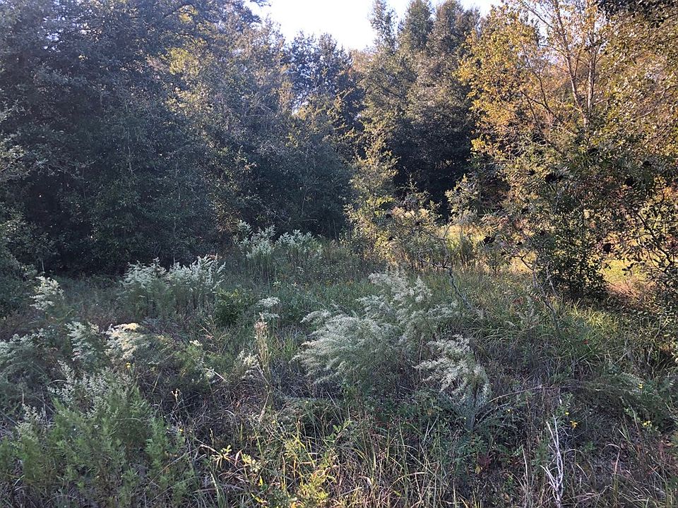 2nd image of .87 acre NE 80th Ave