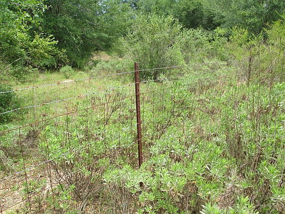 5th image of 00 Gates Avenue