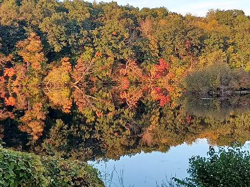 View of the river in Autumn