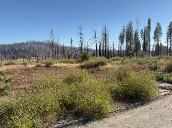 5046 Cary Dr, Grizzly Flats, CA 95636