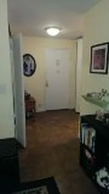 Rented by Manhattan Apartment Organization | media 42