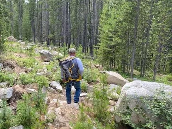 Nhn Michael Davitt Granite Access Rd, Philipsburg, MT 59858
