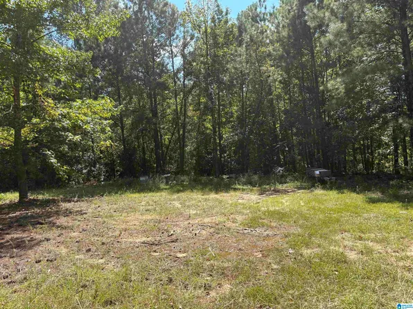 0 County Road 341 #1, Maplesville, AL 36750