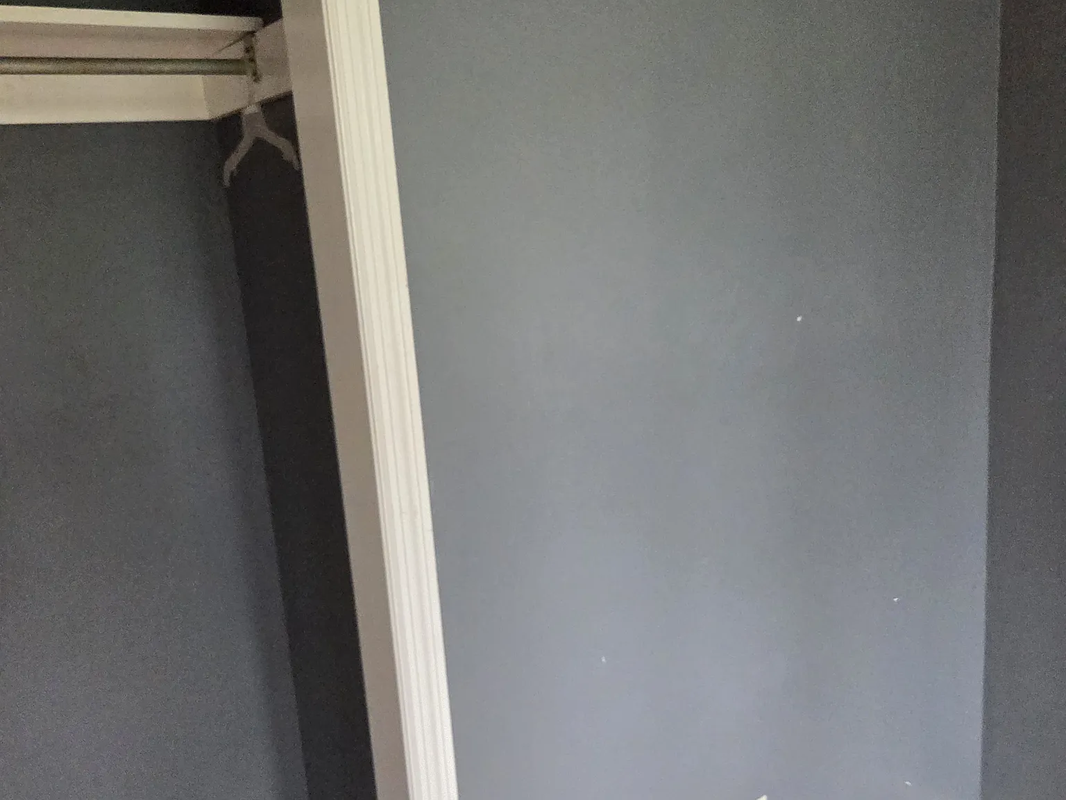2 bed, 700 sqft, $1,200 — Photo 3