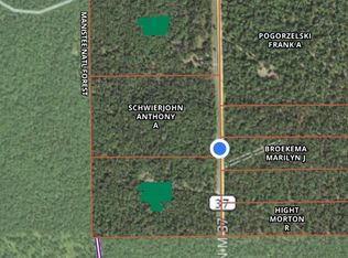 37 M, Wellston, MI 49689