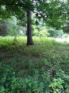 1532 Olean Rd, South Wales, NY, 14139
