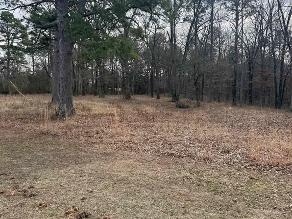 0 Donnies Dr, Clinton, AR 72031