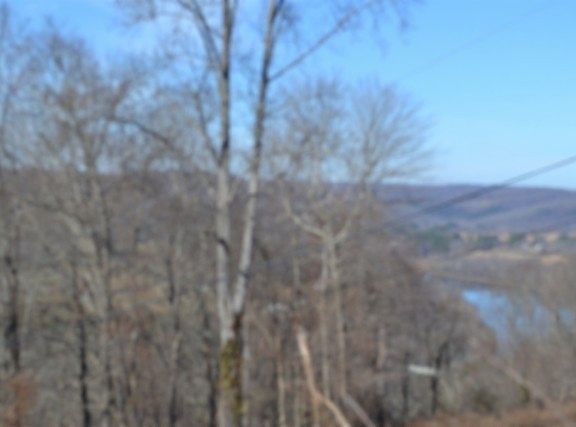 3rd image of 0 Schelley Rd