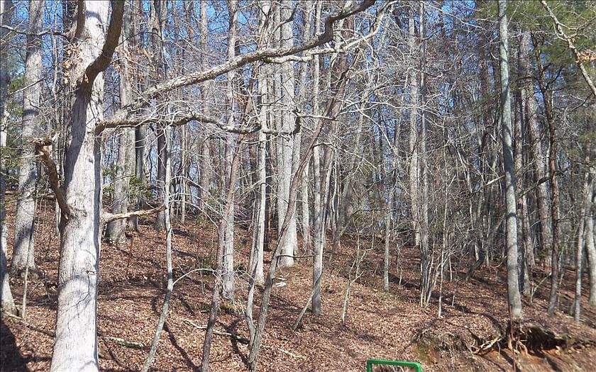 2nd image of 0 Jonas Mountain Rd