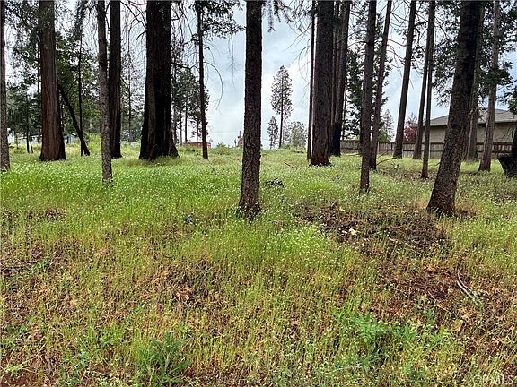 3rd image of 0 Pineland Cir Lot 194