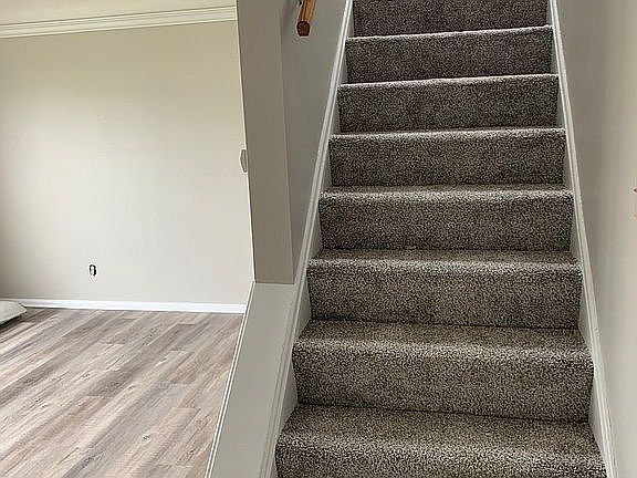 4th image of 29019 Homewood Dr